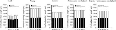 Effects of physical exercise associated with a diet enriched with natural antioxidants on cerebral hypoperfusion and reperfusion injury in spontaneously hypertensive rats